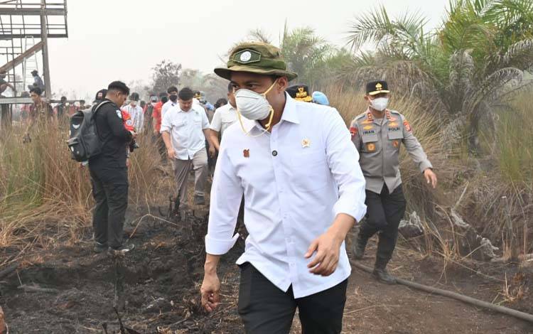 Menhut Raja Juli dan Gubernur Kalteng Tinjau Lokasi Karhutla Petuk Ketimpun