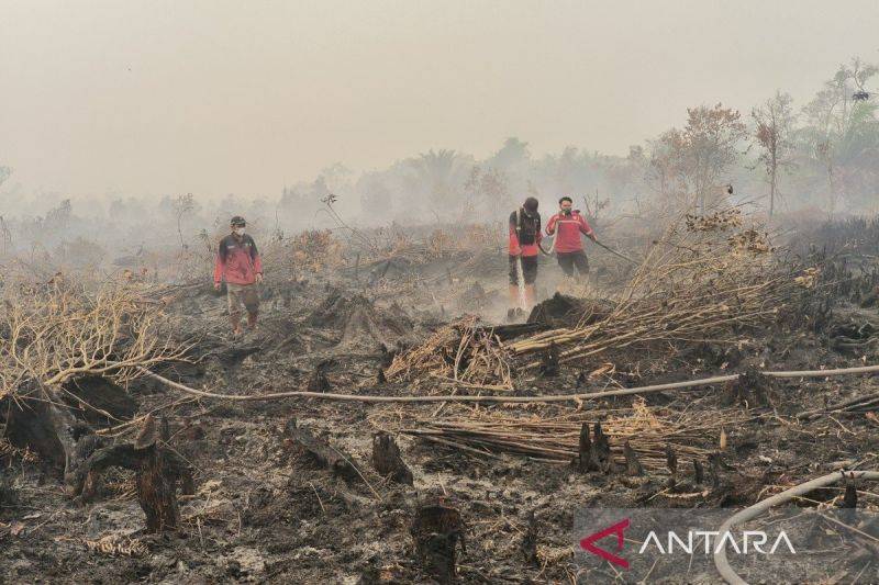 Menhut Klaim Penindakan Karhutla Tanpa Pandang Bulu, 12 Tersangka Sudah Diproses di Kalteng