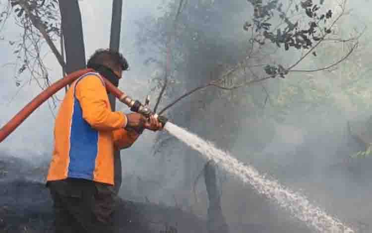 Pemkab Kobar Perpanjang Status Tanggap Darurat Karhutla hingga 4 September