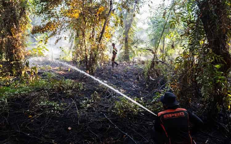 Karhutla di Kobar Capai 658,9 Hektare, 400 Hotspot Terdeteksi Sejak Awal Agustus