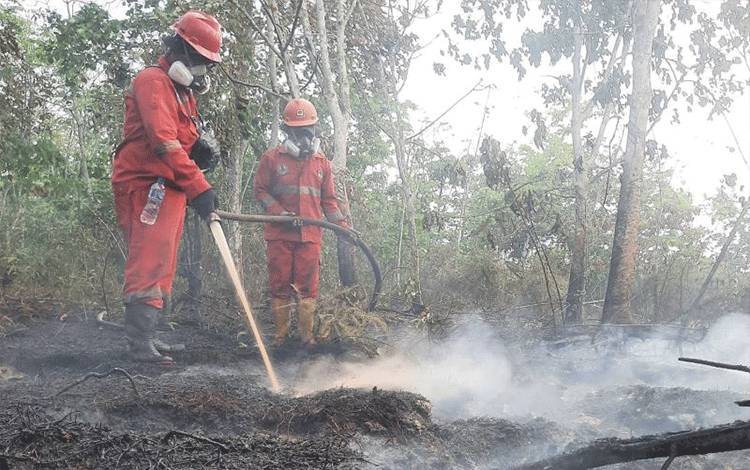 Puluhan Helikopter Disebar untuk Atasi Karhutla Sumatera-Kalimantan
