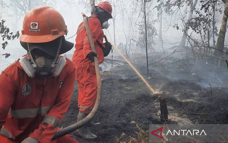 Pemerintah Bangun Sumur Bor Optimalkan Penanganan Karhutla Kalimantan