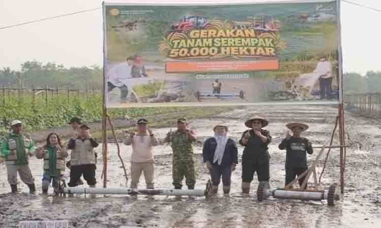 Gerakan Tanam Serempak 50 Ribu Hektare Sasar Lahan di Kapuas