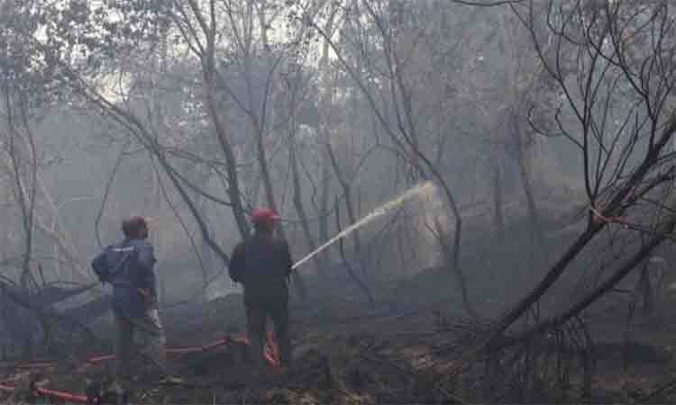 Kabut Asap Tebal Kepung Katunjung Titik Kedua, Api Belum Terkendali dan Minim Sinyal