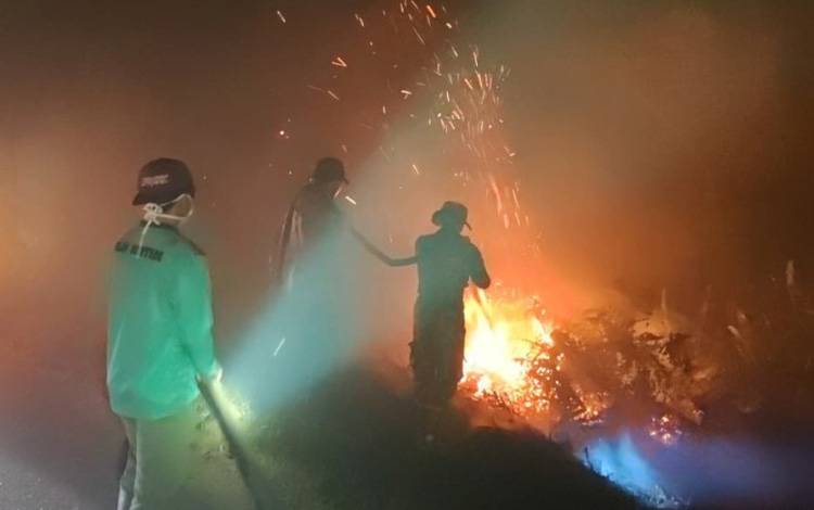 Belum Genap Sebulan, 1.104,64 Hektare Lahan di Kotim Terbakar