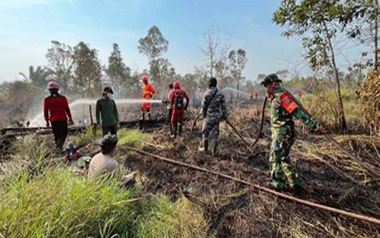 Kemenhut: Api di TN Way Kambas Padam, Seluruh Gajah Terpantau Aman