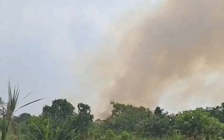 Karhutla Dilaporkan Terpantau di Sei Pitung Kapuas Barat, Kepulan Asap Hitam Membubung
