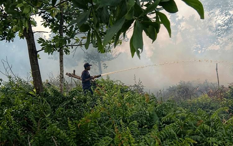 Gubernur sebut Karhutla di Kalteng Masih Terkendali