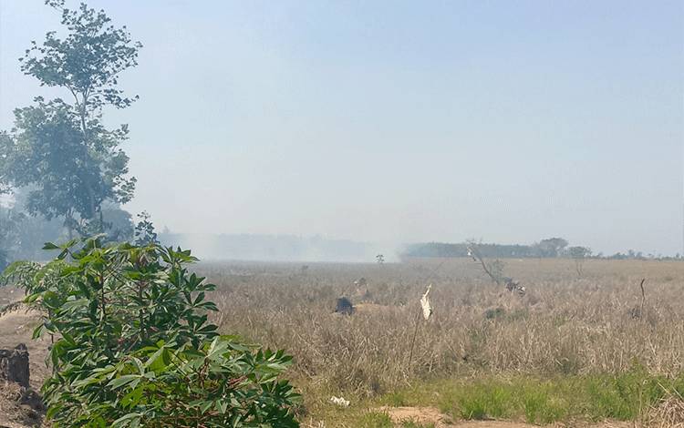 Karhutla di Anjir Serapat Tengah Membesar, Api Mulai Mendekati Permukiman