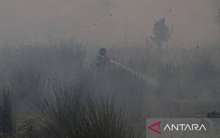 BPBD: 428,46 Hektare Lahan di Palangka Raya Terbakar hingga 24 Agustus