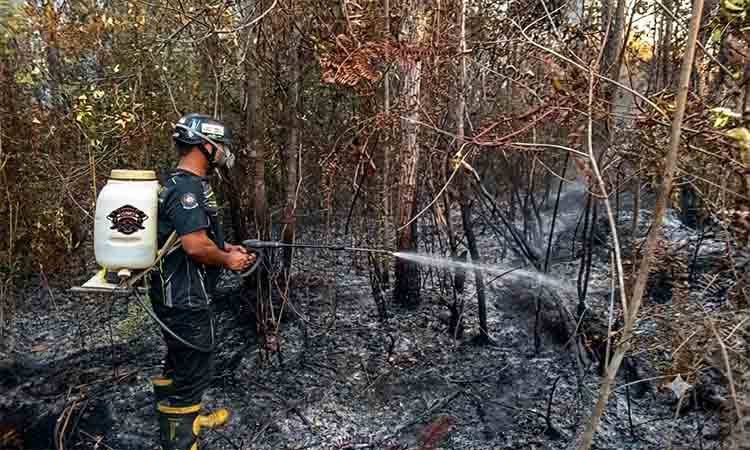 Api Membakar 0,5 Hektare di Ampah Kota, MPA Pengembara Cegah Karhutla Meluas