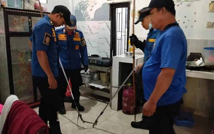Ular Masuk Dapur Warga, Tim Rescue 112 Palangka Raya Lakukan Evakuasi