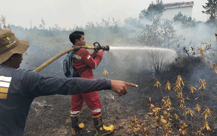 Tim Gabungan Bergerak Cepat Padamkan Karhutla di Bambulung Bartim, Sumber Air Jadi Kendala