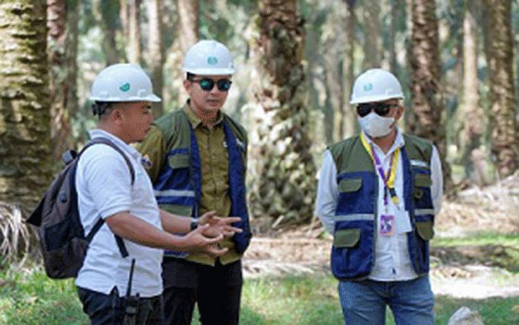 Diplomat Turun ke Kebun Sawit Kalteng, Lihat Langsung Praktik Berkelanjutan