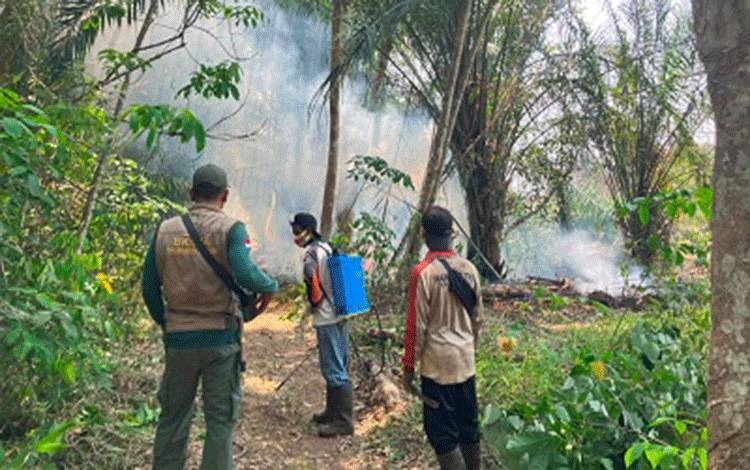 BKSDA Sampit Telusuri Orangutan Diduga Terkepung Karhutla di Luwuk Bunter