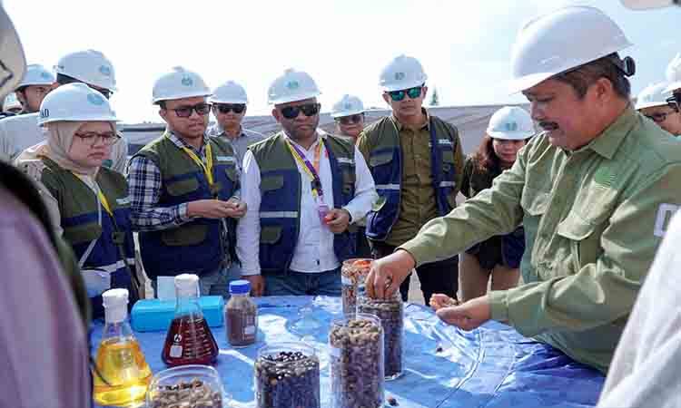 Dari TBS Jadi CPO, Peserta Diplomasi Sawit Tinjau Proses di PKS Sulung