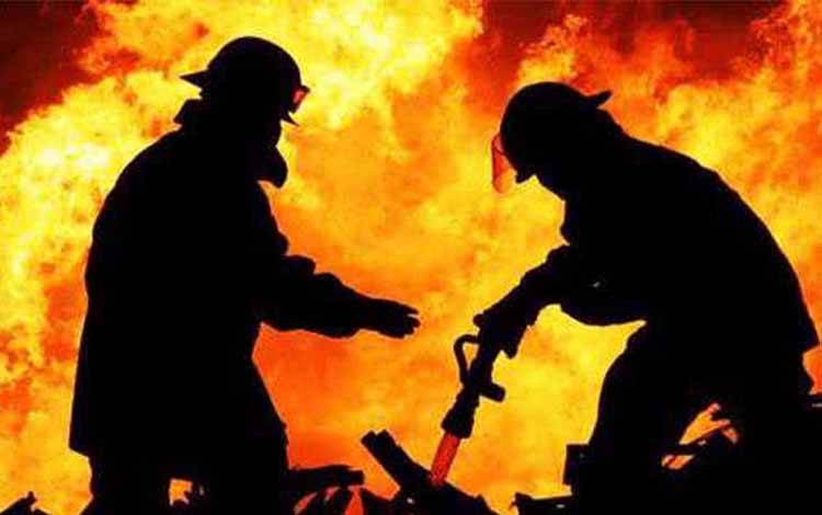 142 Hektare Lebih Lahan Lamandau Terbakar, Karhutla Masih Jadi Perhatian