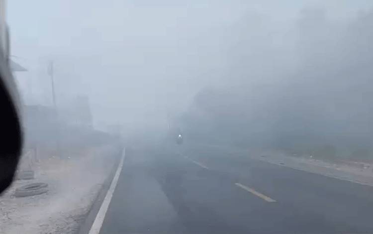 Kabut Asap Pekat Selimuti Kuala Kapuas, Jarak Pandang di Trans Kalimantan Hanya Belasan Meter
