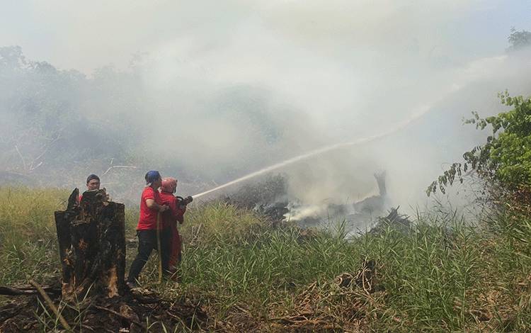 Kebakaran Lahan di Jalan Rei 3 Pulang Pisau Meluas, Akses Jalan Ditutup