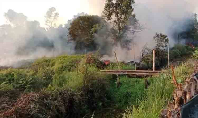 BPBD Deteksi 910 Hotspot Karhutla di Kapuas Hari Ini, Melonjak 3 Kali Lipat