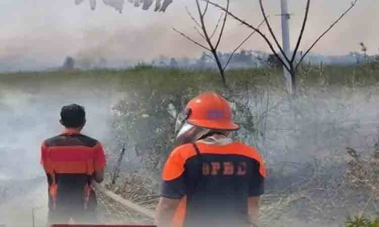 BPBD Kapuas Terjunkan Tim Kaji Cepat Lakukan Pendataan Penetapan Status Kekeringan