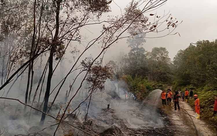 Laporan Warga Percepat Penanganan Karhutla di Desa Sumur Barito Timur