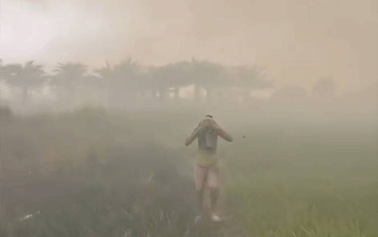 663 Titik Api Terdeteksi di Kapuas Hari Ini, Pemadaman Karhutla Banyak Terkendala Akses dan Sumber Air