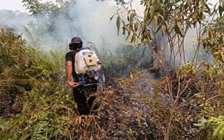 Karhutla Bakar 1,5 Hektare di Puri Barito Timur, Api Merambat di Semak dan Gambut