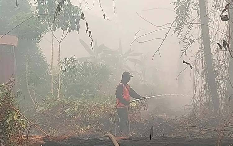 422 Kali Karhutla 484,46 Hektare Lahan Terbakar di Palangka Raya