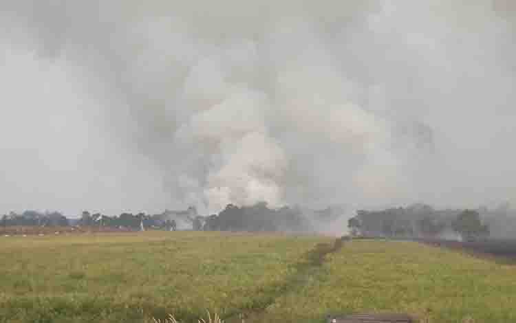 Karhutla Membara di Handel Perwira Kapuas Timur, Api Dekati Sawah Siap Panen