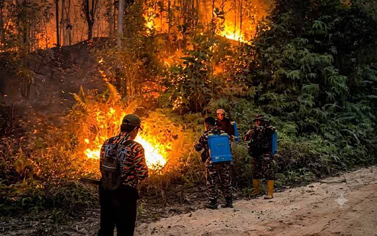 Karhutla Ampari Bura-Lalap Capai 20 Hektare, Tim Gabungan Berjibaku Kendalikan Api