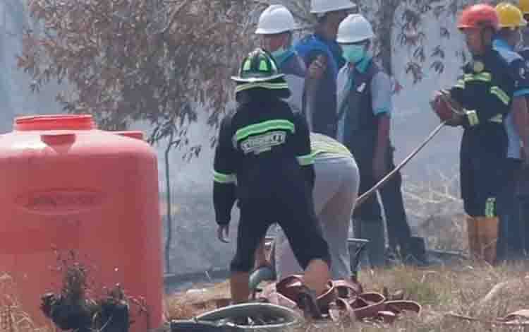 Gubernur Kalteng Instruksikan Penanganan Menyeluruh Dampak Karhutla dan Kemarau