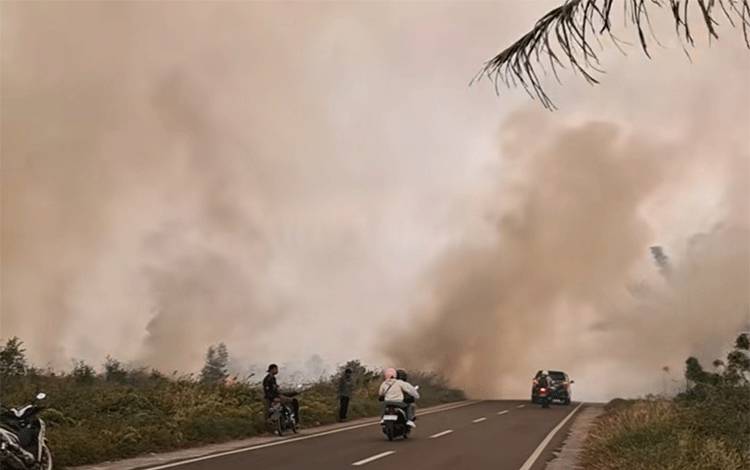 Ratusan Hektar Lahan di Areal Perusahaan Daerah Samuda Kotim Terbakar