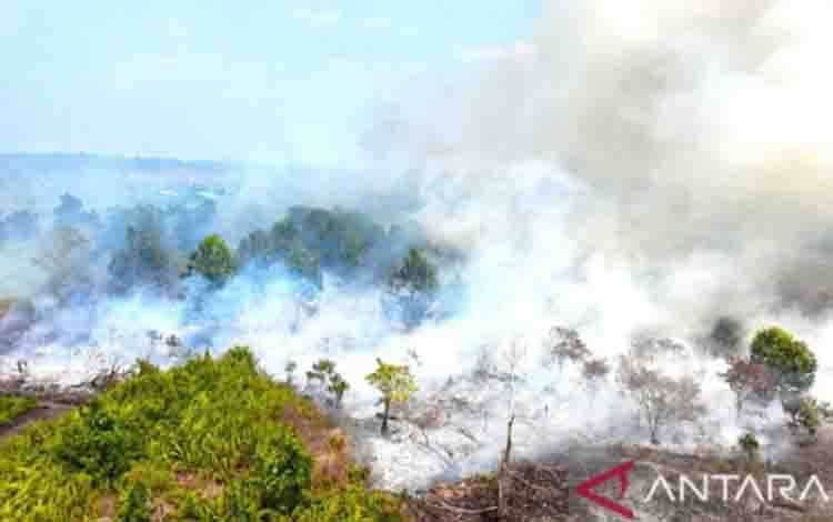 Kemlu: Dampak Kabut Asap Ditangani Demi Jaga Hubungan di Kawasan