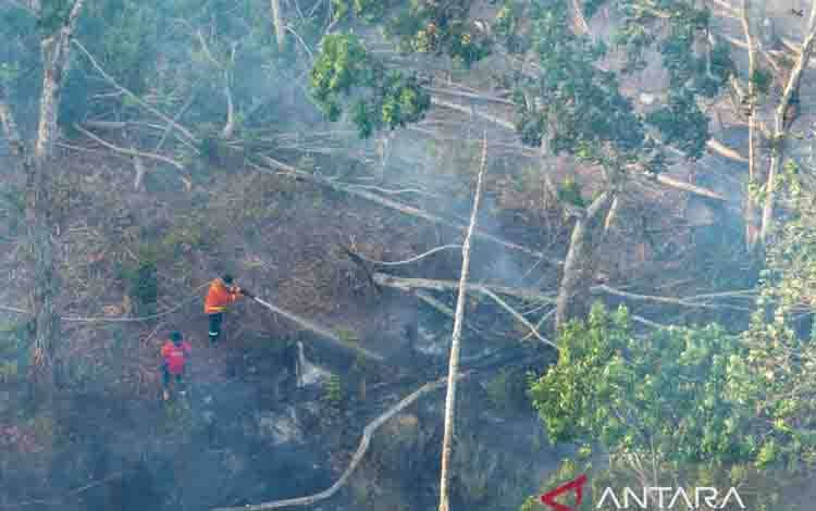 Otorita IKN: Penegakan Hukum untuk Kendalikan Karhutla