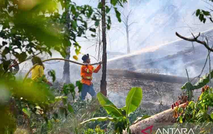 Otorita Kuatkan Pengendalian Karhutla IKN dengan Satuan Reaksi Cepat