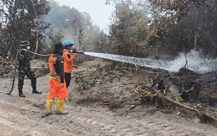 Tim Gabungan Jinakkan Karhutla di Sarapat Barito Timur