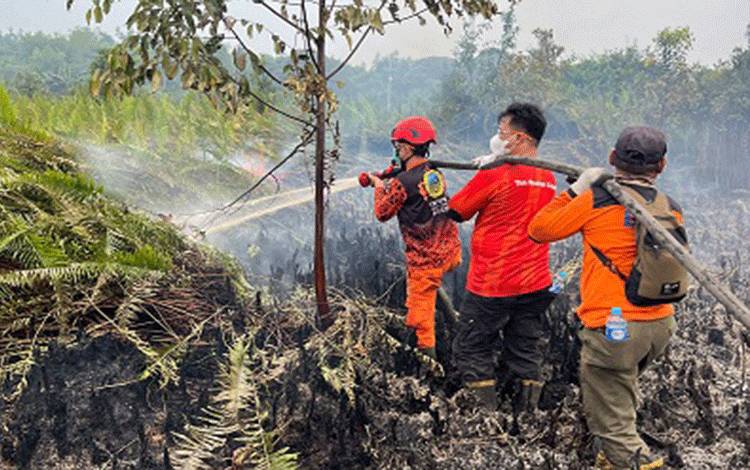 Gambut Tebal Jadi Tantangan, Tim Gabungan Belum Berhasil Padamkan Karhutla di Juru Banu Bartim