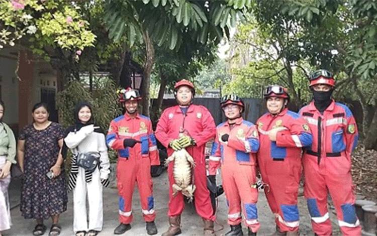Tim Regu 2 Rescue Damkar Evakuasi Biawak di Jalan Pinus Permai II