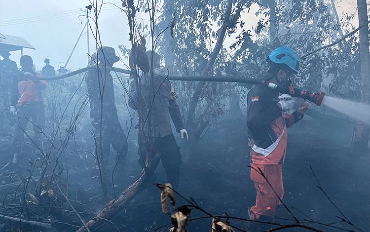 Pemadaman Karhutla di Desa Dayu Barito Timur Terkendala Jarak Pandang, Api Belum Padam