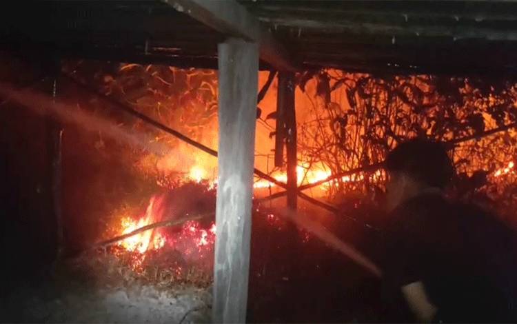 Karhutla 1,5 Hektare Terjadi di Talekong Punai Kapuas Murung