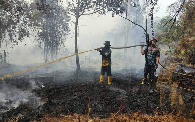 Karhutla di Ampah Kota Capai 3 Hektare, Lahan Gambut Tebal Bikin Pemadaman Terkendala
