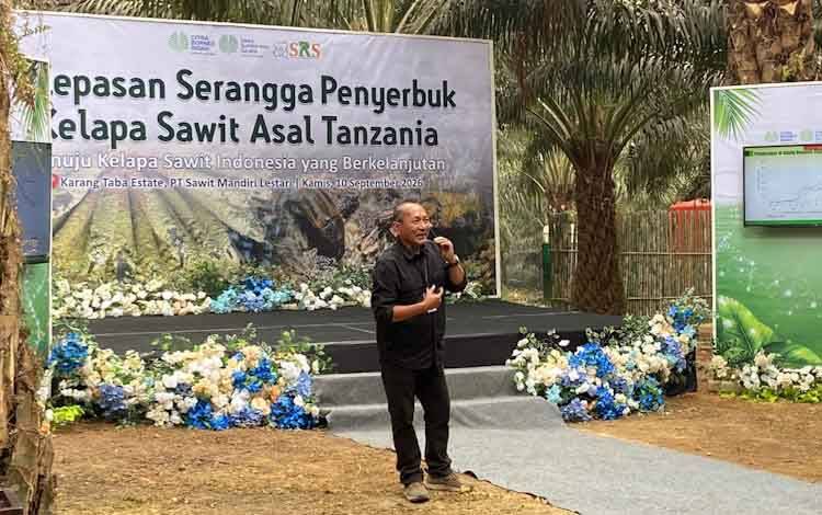 Serangga Penyerbuk asal Tanzania Didatangkan untuk Tingkatkan Penyerbukan Kelapa Sawit
