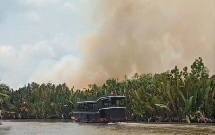3.105 Hektare Hutan TNTP Terbakar, Api Belum Padam