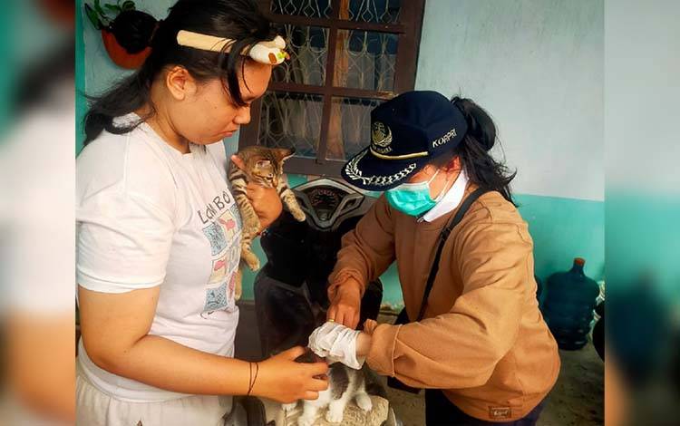 Pemko Palangka Raya: Rabies Sulit Disembuhkan, Utamakan Pencegahan