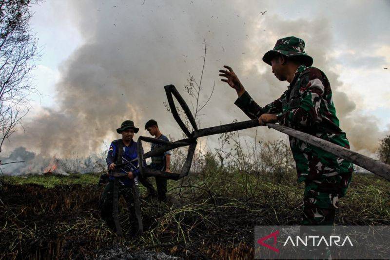 BPBD Palangka Raya Tangani 503 Kasus Karhutla, Lebih dari 1.000 Hektare Lahan Terbakar