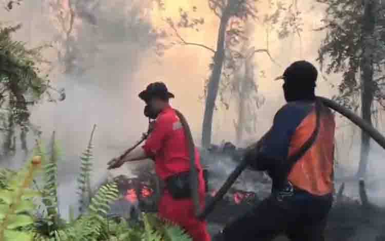 Status Tanggap Darurat Bencana Karhutla dan Kekeringan di Kotim Berpotensi Diperpanjang