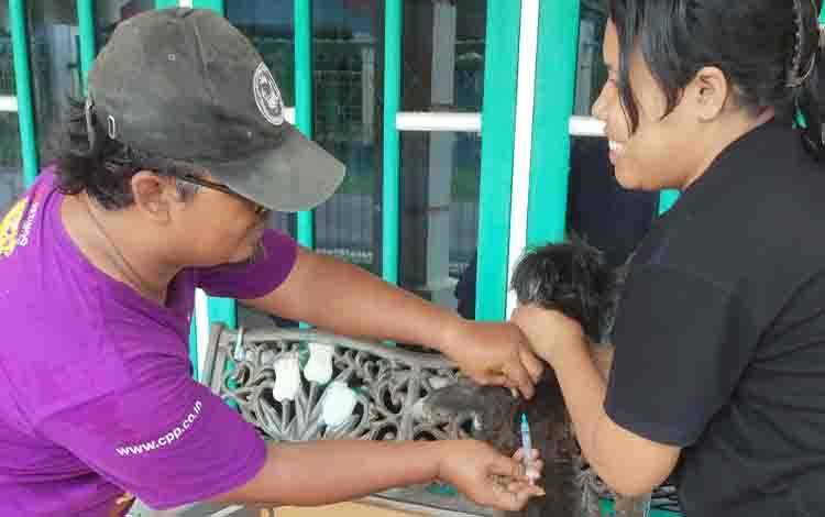 Hampir Separuh HPR di Palangka Raya Sudah Divaksin Rabies
