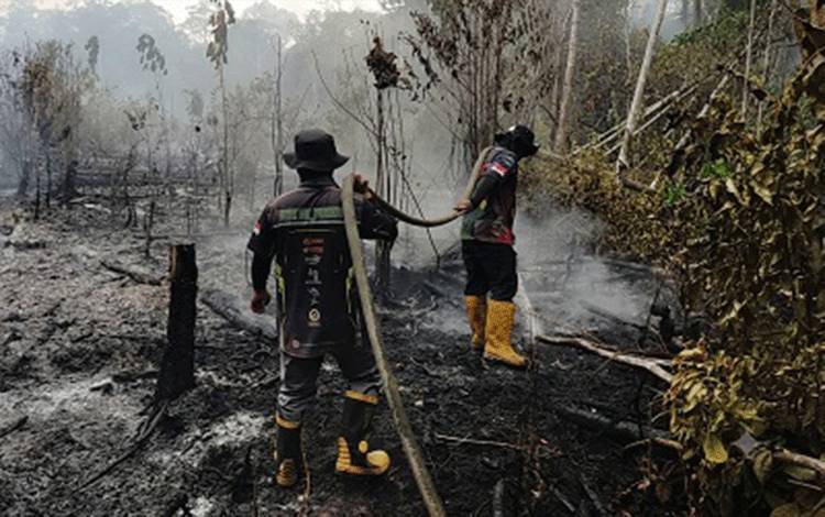 Gambut Tebal Hambat Pemadaman Karhutla di Desa Puri Barito Timur