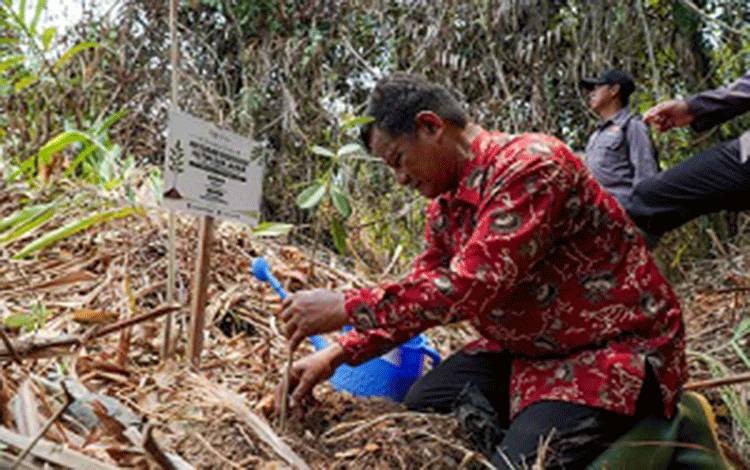 Bukan Sekadar Tanam, Ribuan Bibit Reboisasi SSMS akan Dipantau Dua-Tiga Kali Sepekan